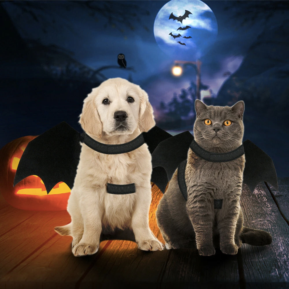 Cat wings costume best sale