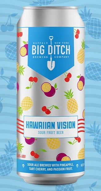 Big Ditch - Hawaiian Vision 4PK CANS